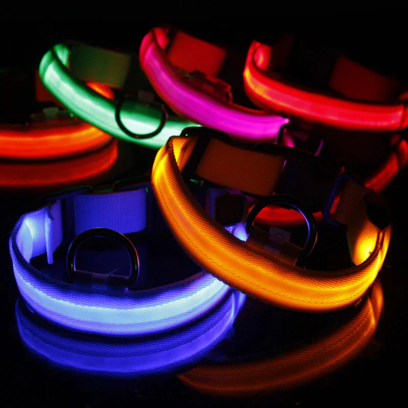 Glow in the Dark Dog Collar – LED Flashing, Adjustable & Waterproof