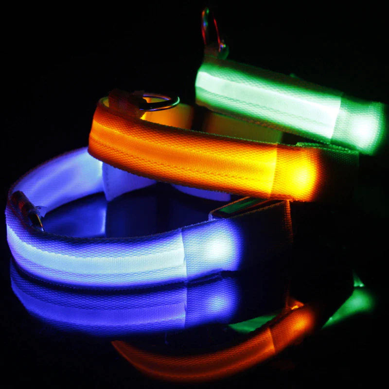 Glow in the Dark Dog Collar – LED Flashing, Adjustable & Waterproof