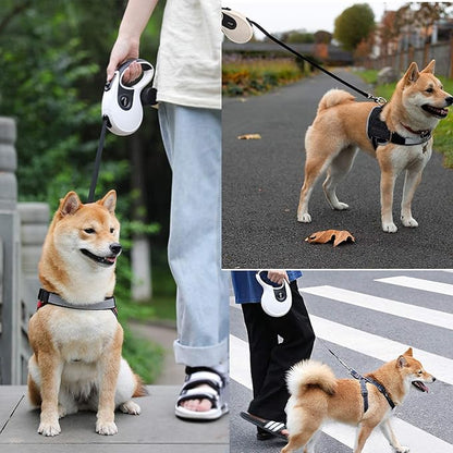 Automatic Retractable Leash for Household Pets