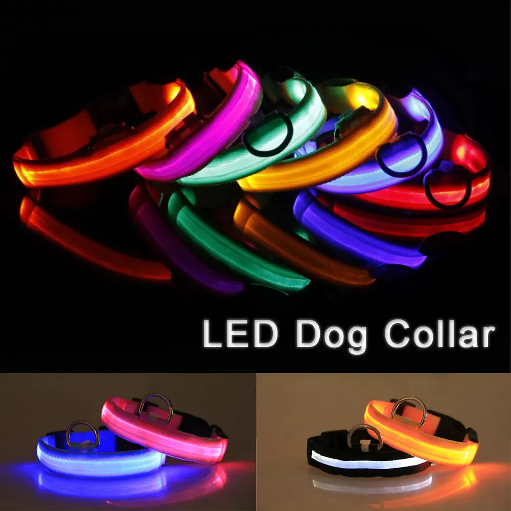 Glow in the Dark Dog Collar – LED Flashing, Adjustable & Waterproof