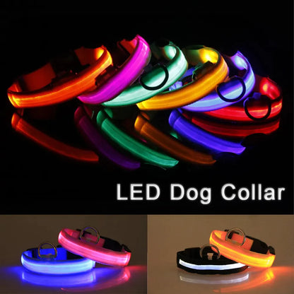 Glow in the Dark Dog Collar – LED Flashing, Adjustable & Waterproof