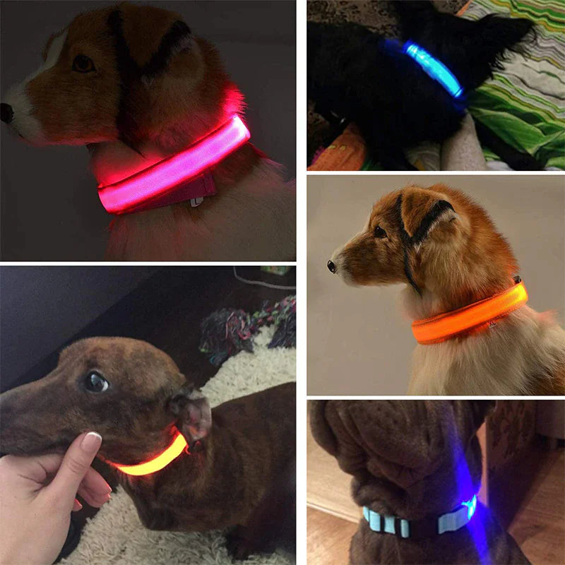 Glow in the Dark Dog Collar – LED Flashing, Adjustable & Waterproof