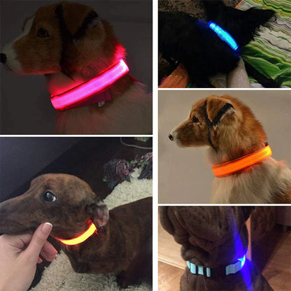 Glow in the Dark Dog Collar – LED Flashing, Adjustable & Waterproof