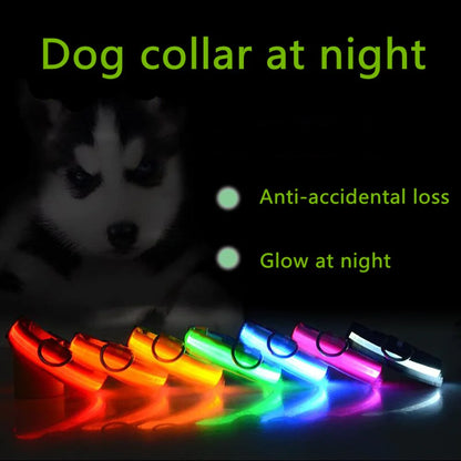 Glow in the Dark Dog Collar – LED Flashing, Adjustable & Waterproof