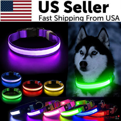 Glow in the Dark Dog Collar – LED Flashing, Adjustable & Waterproof
