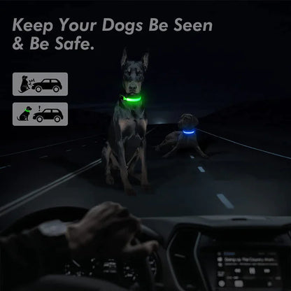 Glow in the Dark Dog Collar – LED Flashing, Adjustable & Waterproof