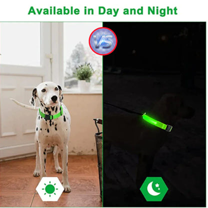 Glow in the Dark Dog Collar – LED Flashing, Adjustable & Waterproof