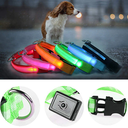 Glow in the Dark Dog Collar – LED Flashing, Adjustable & Waterproof