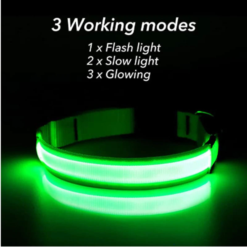 Glow in the Dark Dog Collar – LED Flashing, Adjustable & Waterproof