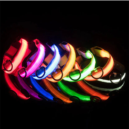 Glow in the Dark Dog Collar – LED Flashing, Adjustable & Waterproof