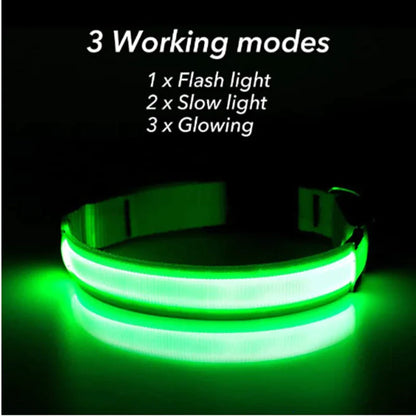 Glow in the Dark Dog Collar – LED Flashing, Adjustable & Waterproof