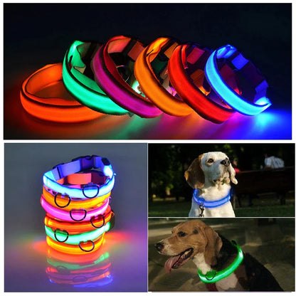 Glow in the Dark Dog Collar – LED Flashing, Adjustable & Waterproof