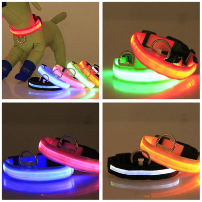 Glow in the Dark Dog Collar – LED Flashing, Adjustable & Waterproof