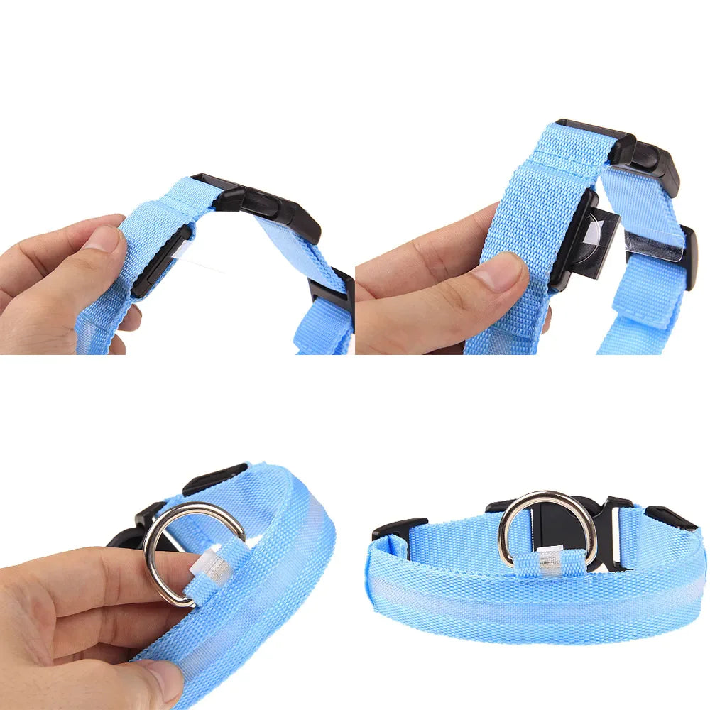 Glow in the Dark Dog Collar – LED Flashing, Adjustable & Waterproof