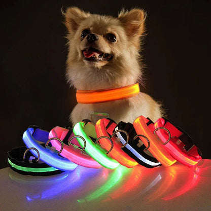 Glow in the Dark Dog Collar – LED Flashing, Adjustable & Waterproof