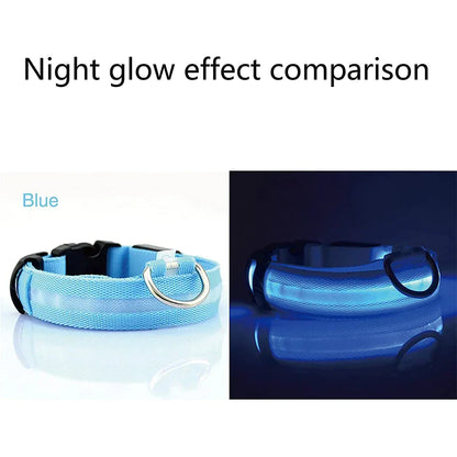 Glow in the Dark Dog Collar – LED Flashing, Adjustable & Waterproof